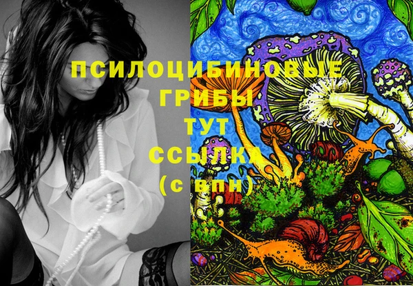 PSILOCYBIN Семикаракорск
