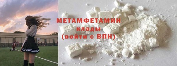 шишки Белоозёрский