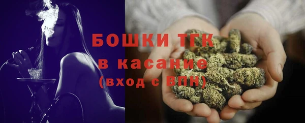 шишки Белоозёрский