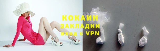 шишки Белоозёрский