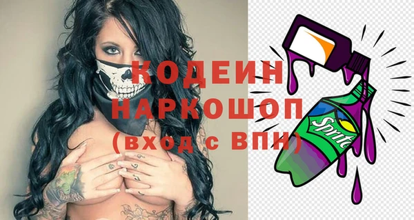 шишки Белоозёрский